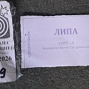 Вагонка ЛИПА сорт A 1000х96х15 (10 штук)